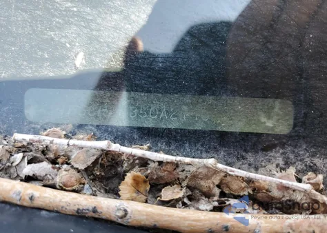 2012 Honda Accord Lx z USA, uszkodzony, nr VIN 1HGCP2F35CA217646